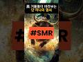 미국 거물들이 바라보는 단 하나의 열쇠. #shortvideo#SMR#소형모듈원자로