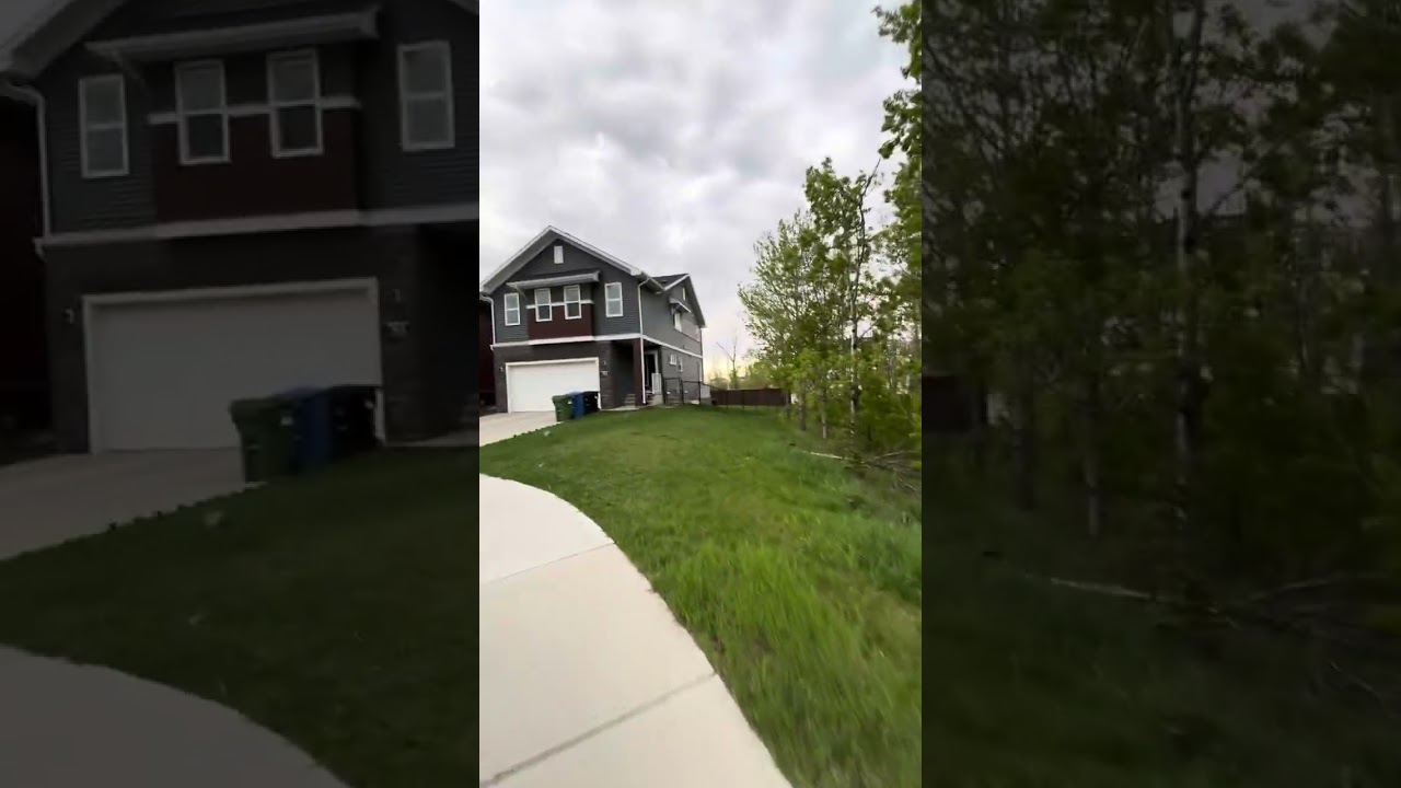 Morning walk in a forest community!!