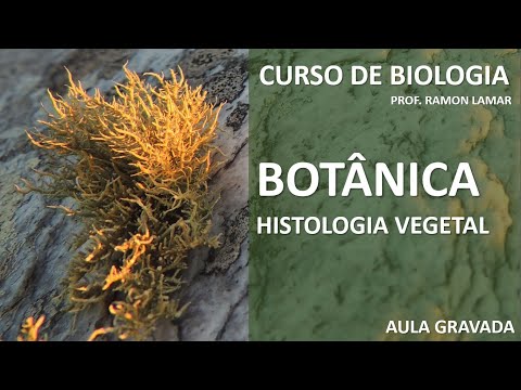 HISTOLOGIA VEGETAL