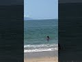 Mexico - Beachwalking in Puerto Vallarta, Relaxing beach life at Playa Los Tules #Jalisco