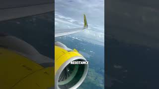 Why do some airplanes have curved wings?