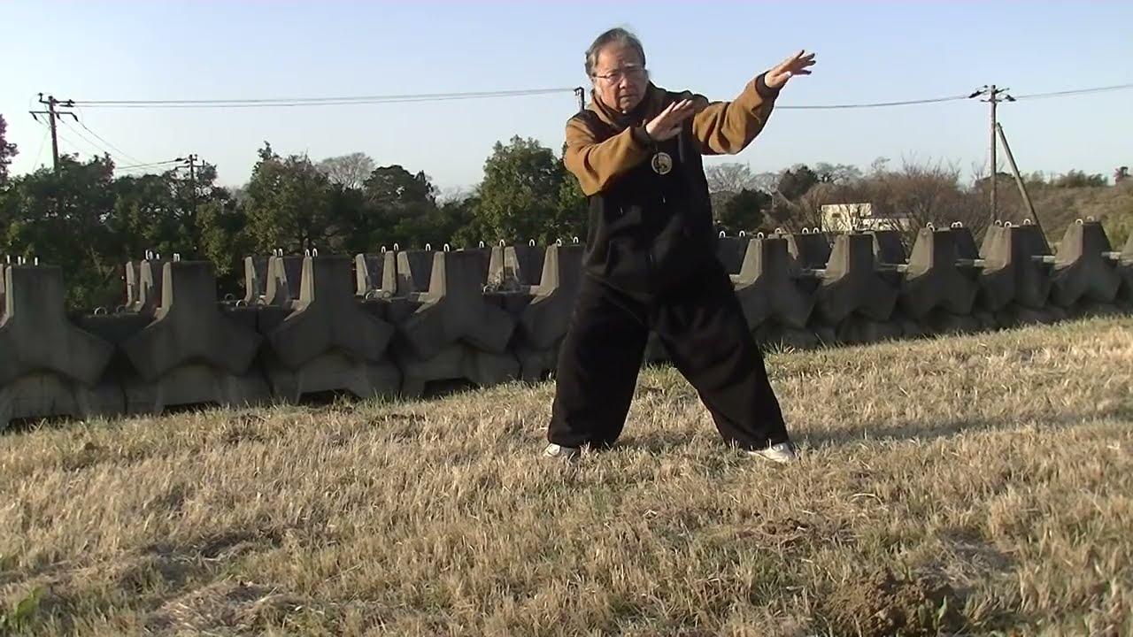 随意練拳(定歩)  (3.4) 2026東瀛太極拳社