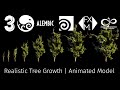 Realistic tree grow 3d model  procedural hip setup  alembic files animated
