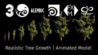 Realistic Tree Grow 3d Model | Procedural HIP Setup + Alembic Files (Animated) screenshot 4