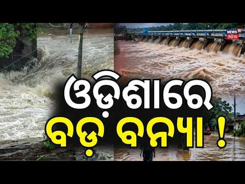 ବଡ଼ ବିପଦ ! Mahanadi River Flood Alert | Flood Threat in Cuttack, Jajpur & Bhadrak | Odisha Flood