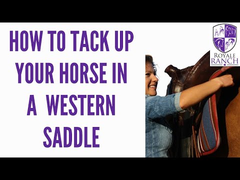 How Tack Up Your Horse In A Western Saddle