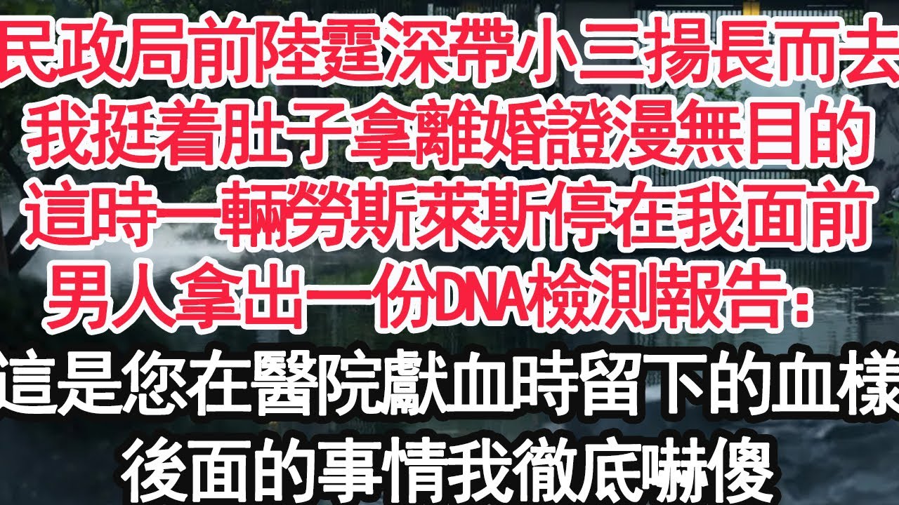 民政局前陸霆深帶小三揚長而去，我挺着肚子拿離婚證漫無目的，這時一輛勞斯萊斯停在我面前，男人拿出一份DNA檢測報告：