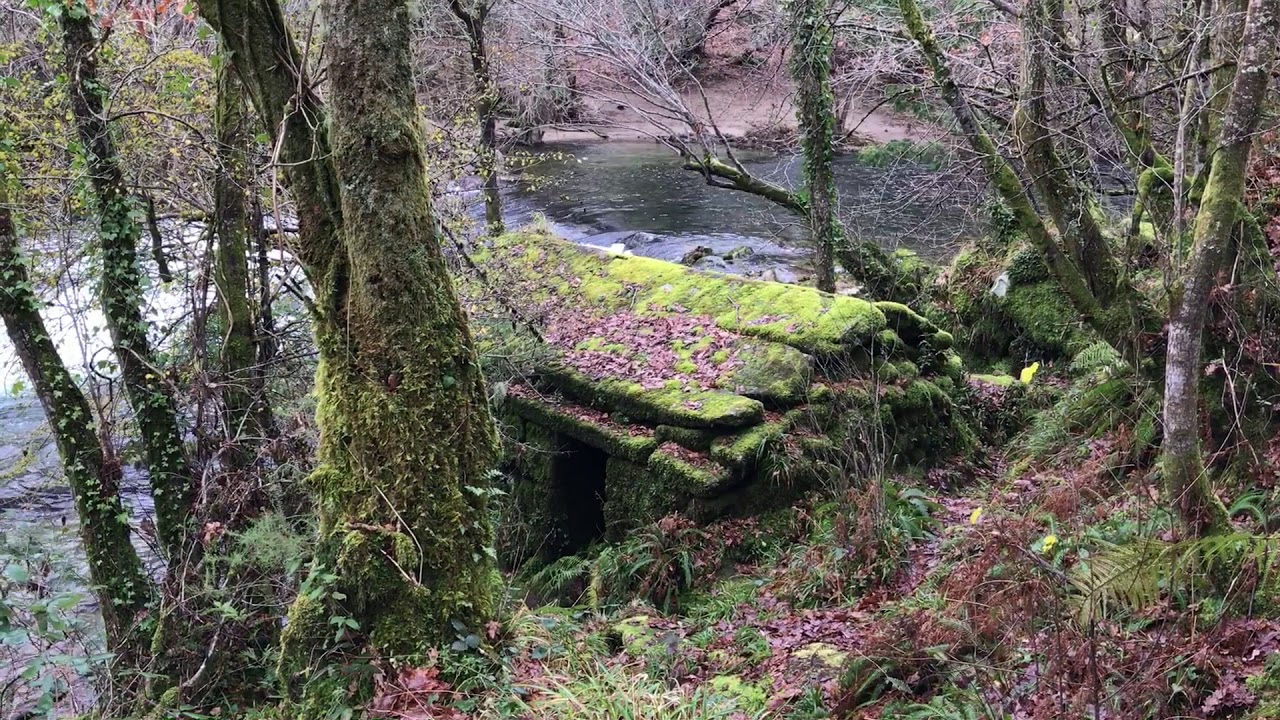 Galicia Bonita. Puente colgante de Bora, río Lérez. Pontevedra