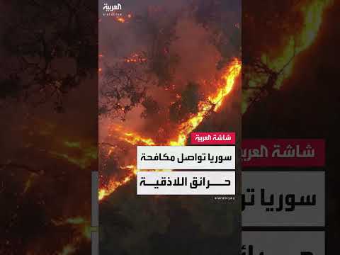 حرائق سوريا: جهود مستمرة لإخماد النيران في 14 ألف هكتار