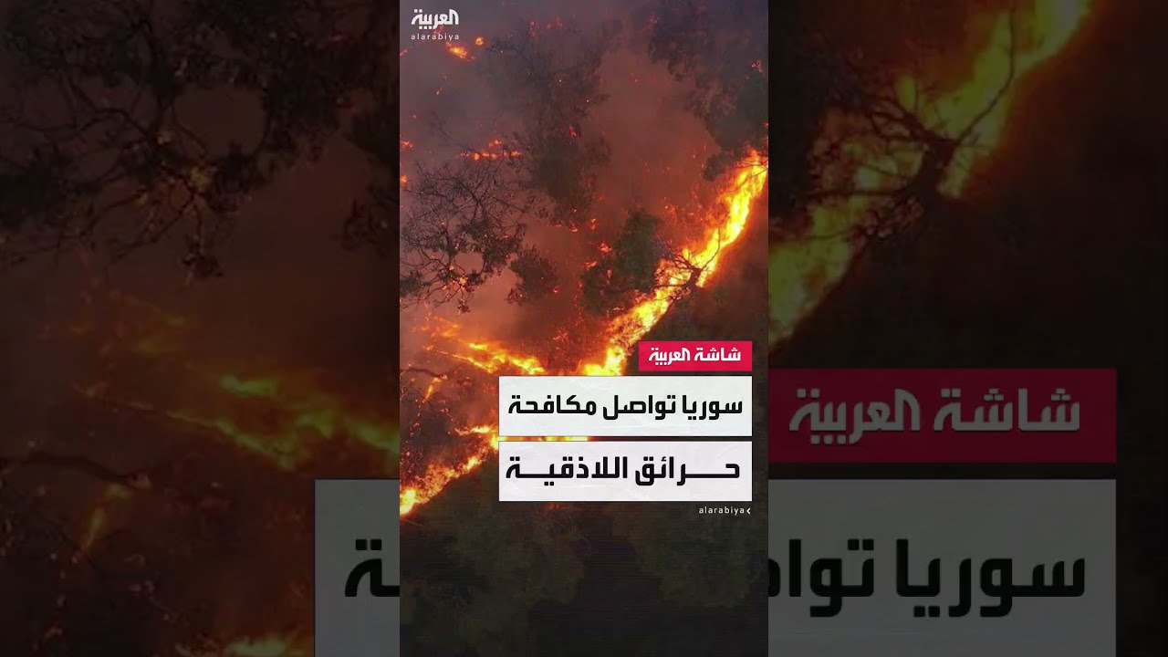 حرائق سوريا: جهود مستمرة لإخماد النيران في 14 ألف هكتار