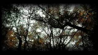 The Symphony Within Serenity