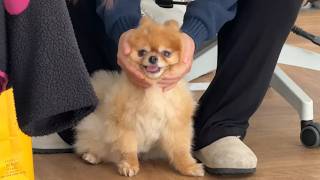 오빠 친구 사무실에서 이쁨 많이 받고 왔어요💛