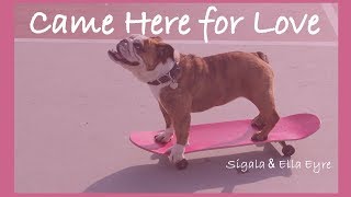 Sigala & Ella Eyre - Came here for love (Lyrics)