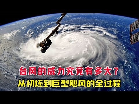 台风的威力究竟有多大？从初坯到巨型飓风的全过程