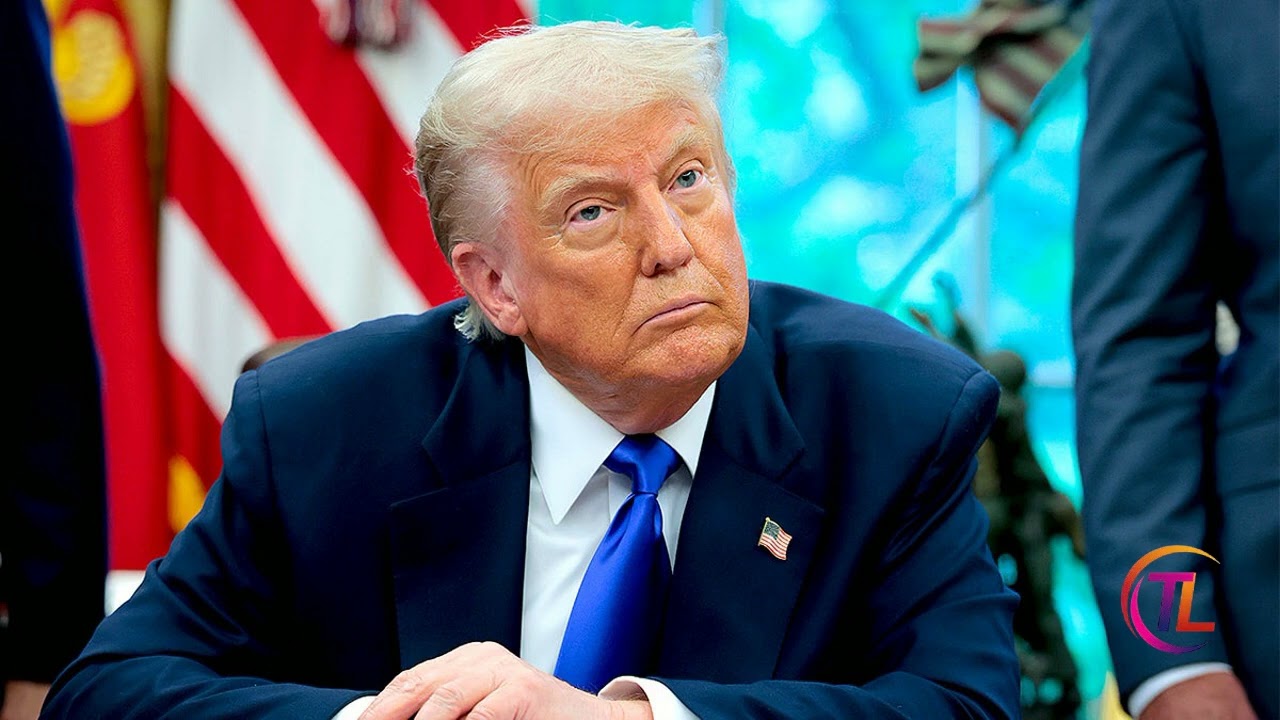 Legal analyst predicts Trump could win considerable damages from BBC documentary lawsuit