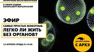 Детский эфир «Самые простые животные. Легко ли жить без органов?» рубрики «Неурочные беспозвоночные»