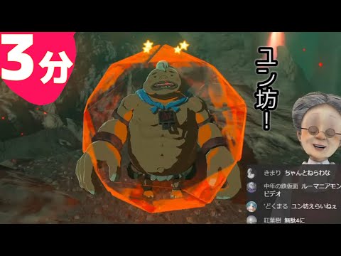 ３分でわかる痴呆婆と孫（物理）のドタバタ珍道中【ゼルダの伝説 ブレスオブ ザ ワイルド】