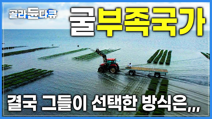 침대 위에서 애지중지 키우는 굴! 한국에선 쌓아 놓고 먹는데 독일에선 비싸서 구경도 못한다고?│세계에서 유일무이한 양식법│외국산 굴이 비싼 이유│굴요리│세계테마기행│#골라듄다큐