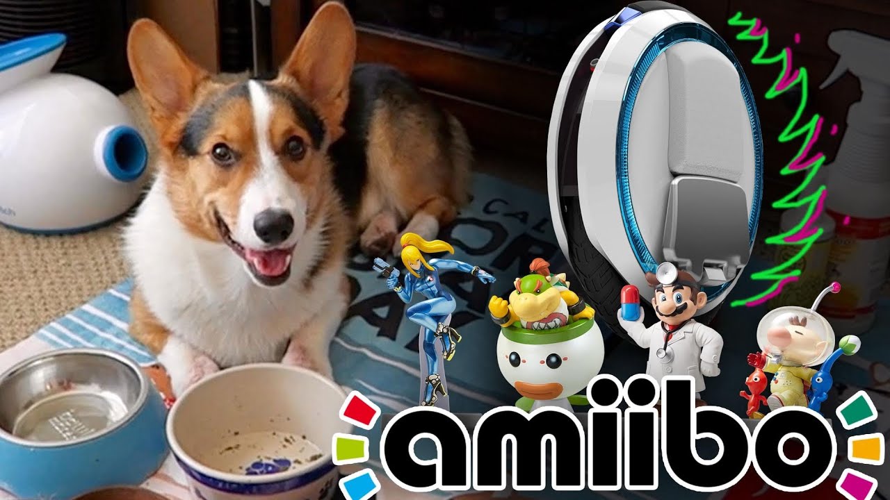 puppy haul ninebots amiibo hunts and a corgi puppy haul a doovi puppy haul ninebots amiibo hunts and a corgi puppy haul a doovi