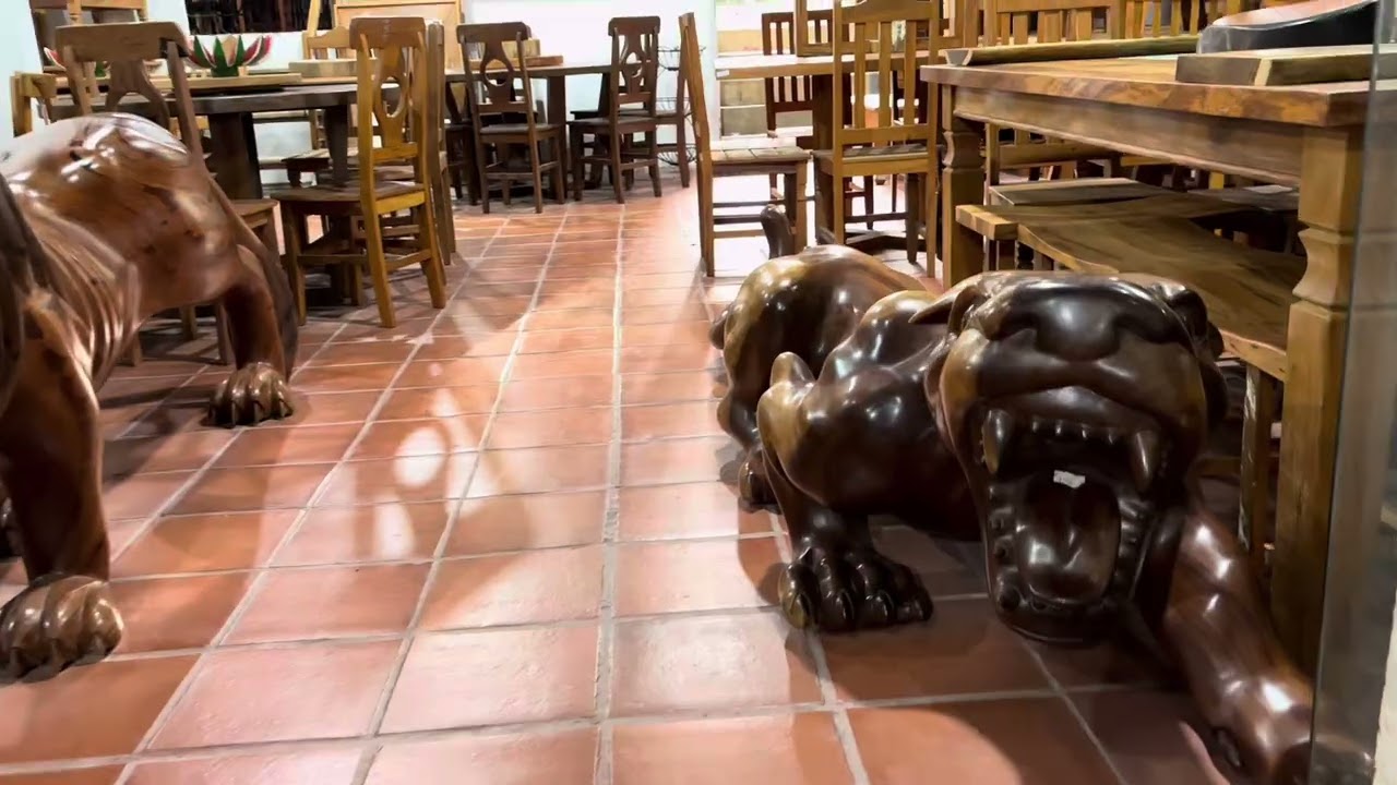 TOUR PELA LOJA CARRO DE BOI