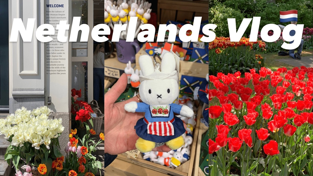 eng) 🇳🇱 네덜란드 암스테르담 잔세스칸스 브이로그 | 아무래도 저 네덜란드랑 사랑에 빠진 것 같아요 | 혼자 즐기는 튤립 축제&풍차마을