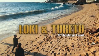 LA HUELLA DEL BULLY EPISODIO 3: LOKI & TORETO