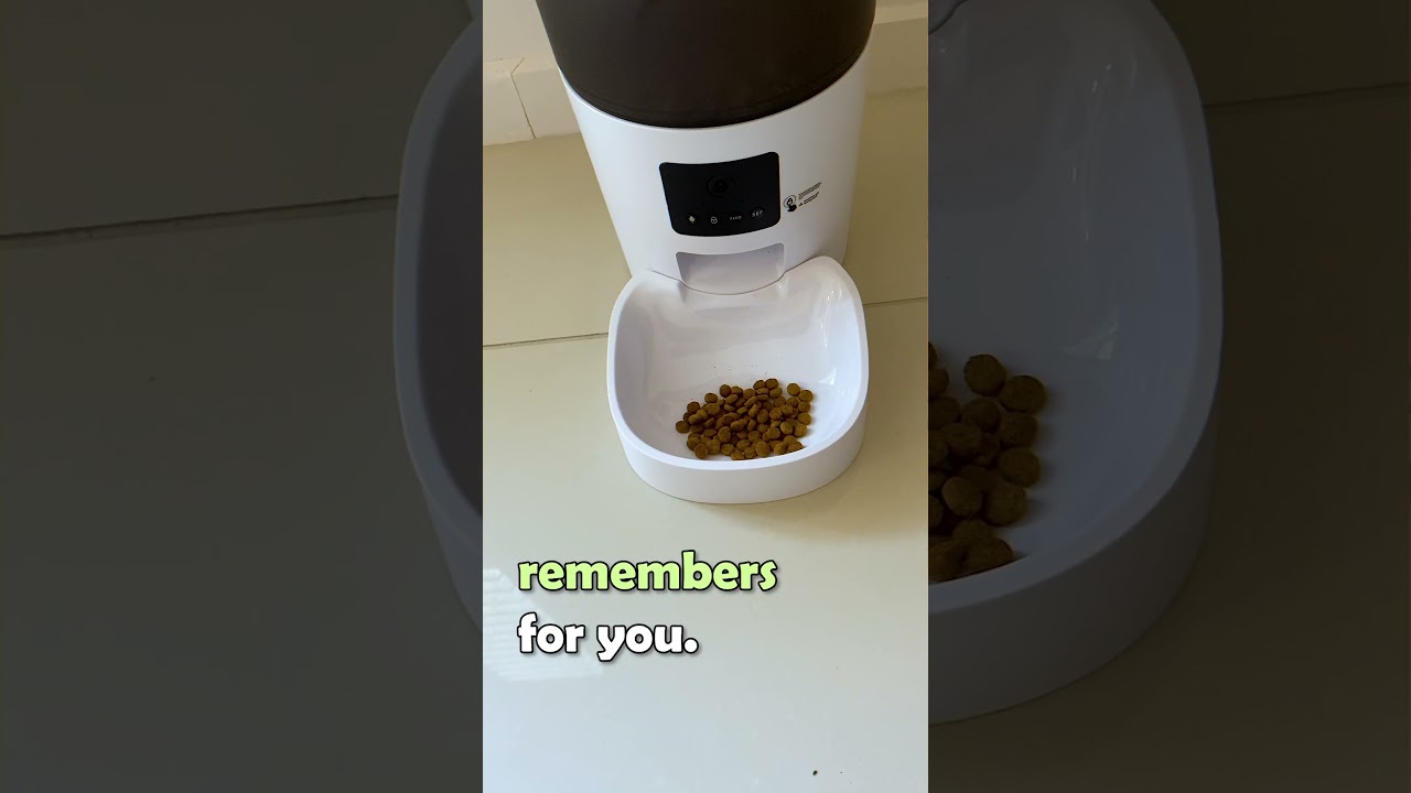 You forgot to feed me 😱 #dog #cat #pets  pet cam feeder