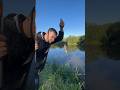 Рыбалка на реке, поплавок🎣🐟 #рыбалка #fishing #беларусь #лещ #поплавок #гомель #nature #карп