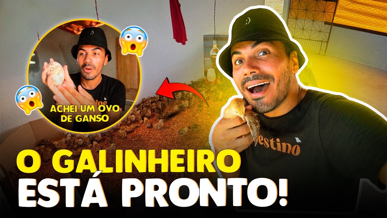 Latest Title & Thumbnail