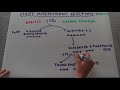 Photosynthesis: Light independent reactions