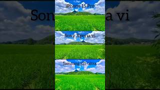 iphone sony and samsung camera pictures.😱#cameratest #smartphone #comparison #iphone