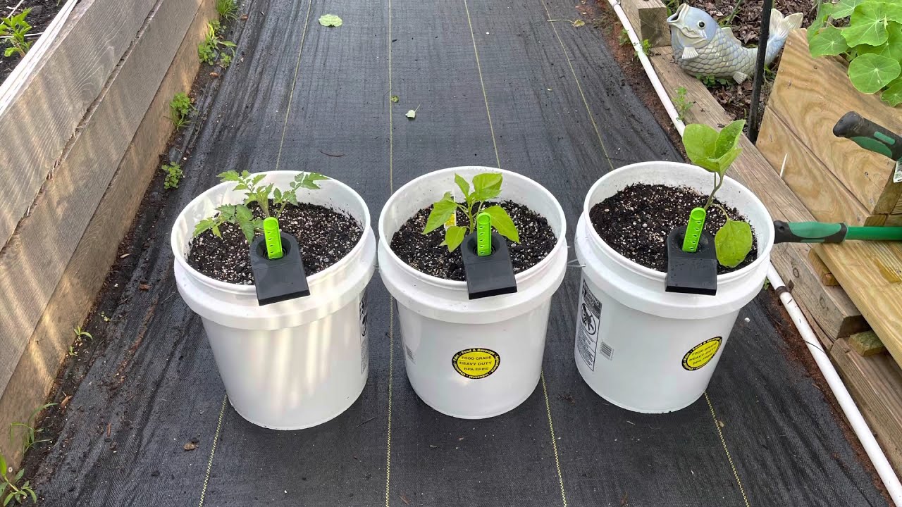 Setting up GrowTech GroBuckets