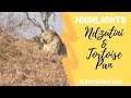 Highlights Tortoise Pan and Ndzutini leopards mating 15th Sept 2021