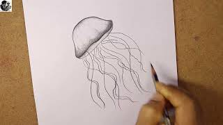 How To Draw Jellyfish Step By Step Pencil Sketch Jellyfish Himan Artists