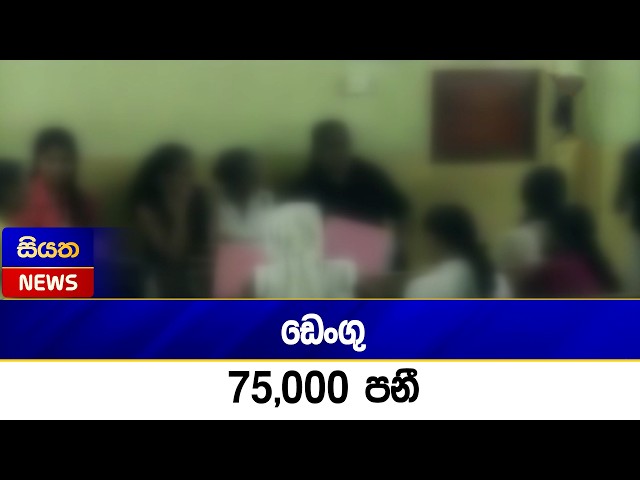 ඩෙංගු 75,000 පනී | Siyatha News