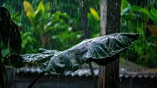 Rain Sounds For Sleeping - 99% Instantly Fall Asleep With Rain And Thunder Sound - Asmr