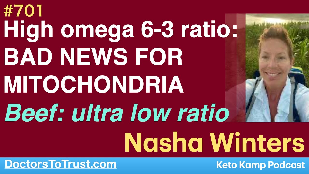 NASHA WINTERS 3 High Omega 6 3 Ratio BAD NEWS FOR MITOCHONDRIA Beef nasha-winters-3-high-omega-6-3-ratio-bad-news-for-mitochondria-beef
