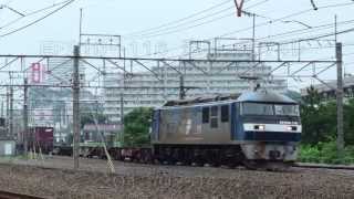 JR貨物　EF210-116　牽引　8074ﾚ　府中本町付近　2013/07/04