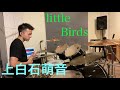 上白石萌音 little Birds ドラム kamishiraishi mone Dr