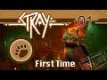 Stray Episode 1: The Contained City
