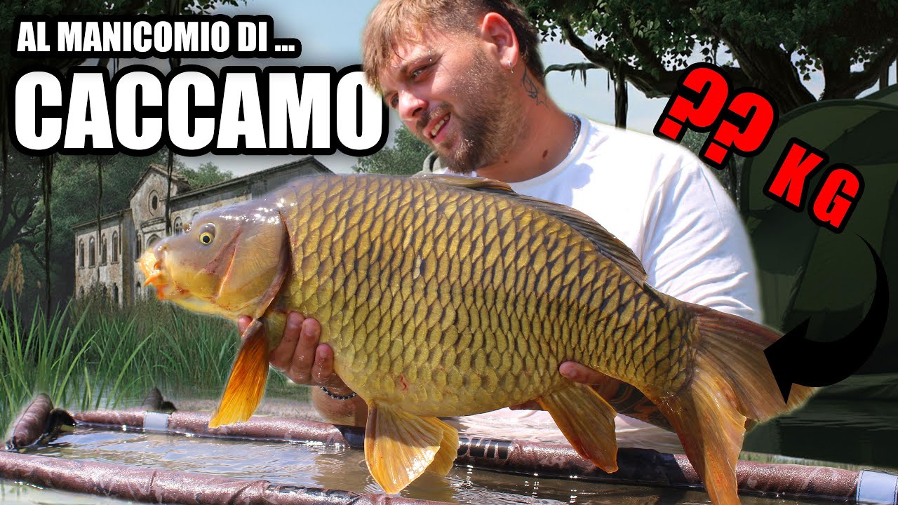 AL MANICOMIO DI CACCAMO | SESSIONE CALDISSIMA !!! Carpfishing dal GOMMONE |