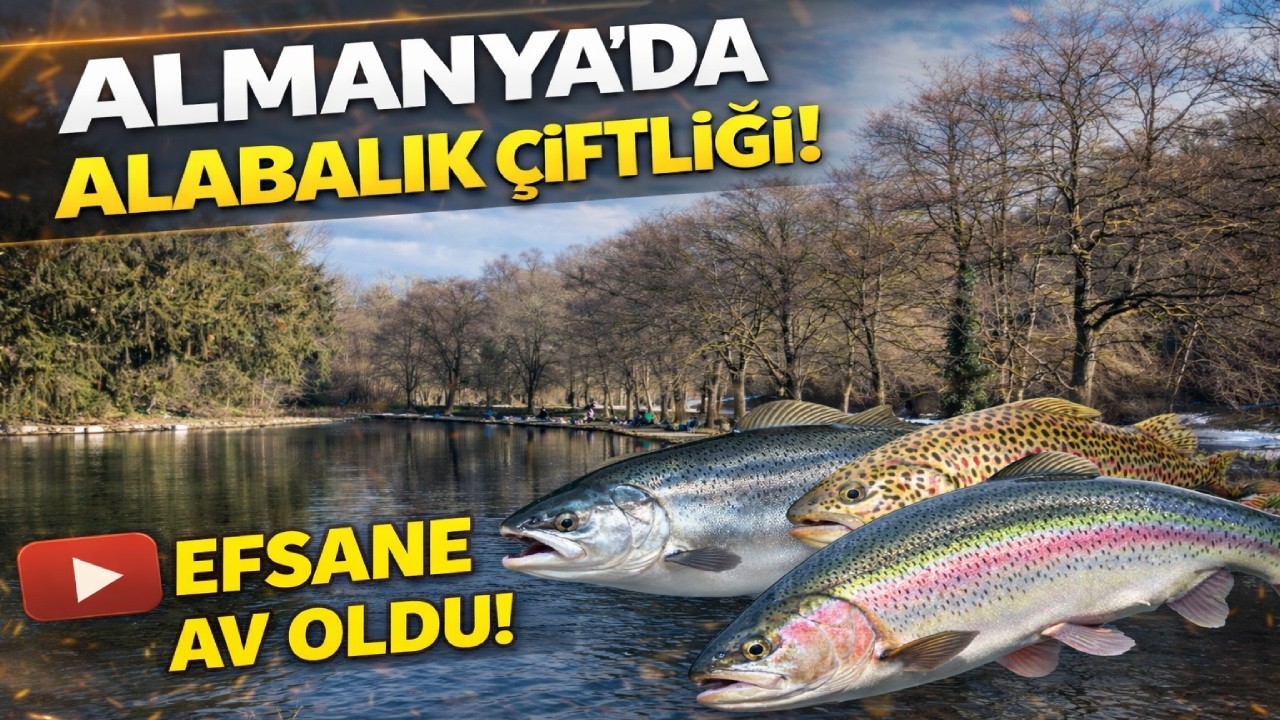 Almanya'da Alabalık avı, efsane av oldu | Solo Fishing 🇹🇷 İbrahim Hakkı Özel