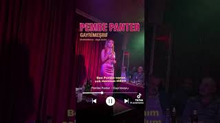 Pembe Panter - Gayrimeşru (Pinkpantheress - Illegal Turkish Version)