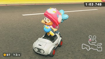 Mario Circuit World Record 1:03.748