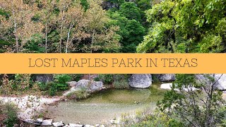 Explore the Lost Maples State Nature Area in Texas