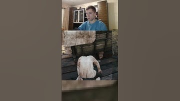 ШОК!!! В Assassins Creed Unity - убрали "Прыжок Веры" #games #обзор #assassinscreed  #стрим