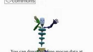 motion capture data Karate -double punch-