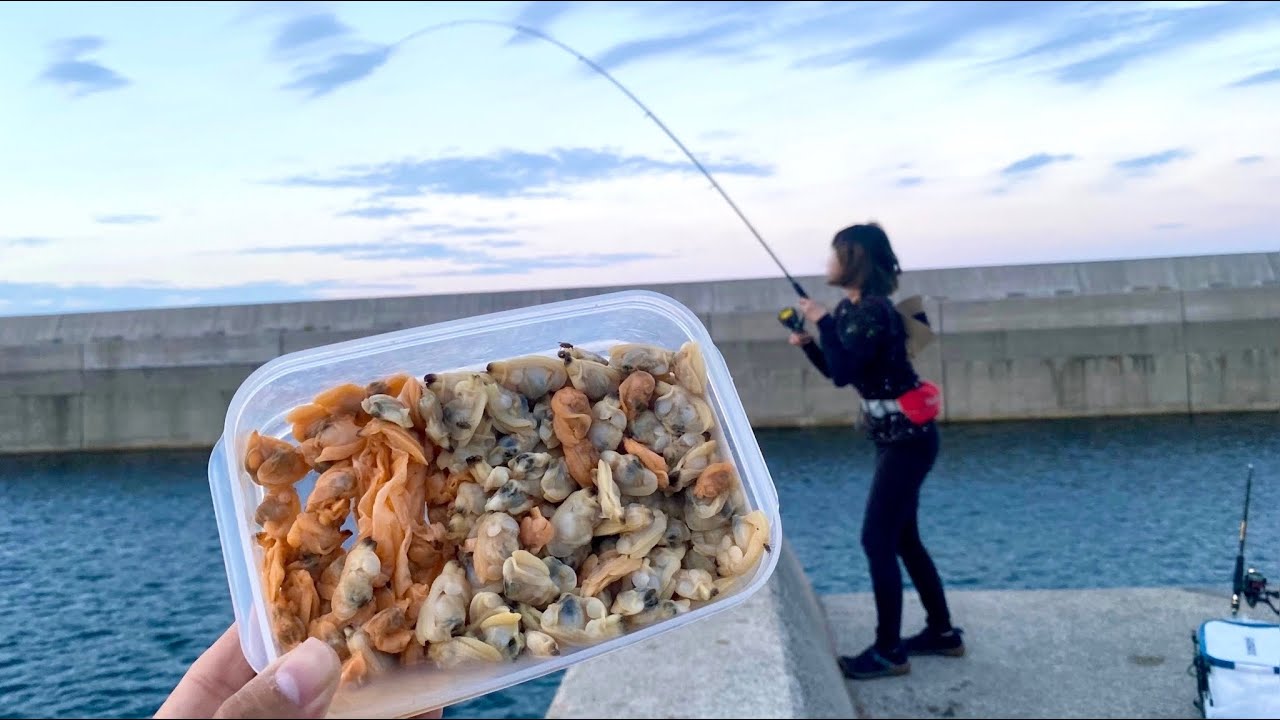 これでも食らえ！大量のアサリに群がる美味しい魚たち