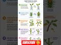 #Auxin#ncert#pgr#biology neet#imp question