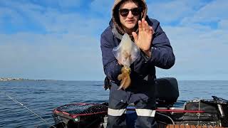 EPIC Fishing journey in South Australia endless Squid and Snook !